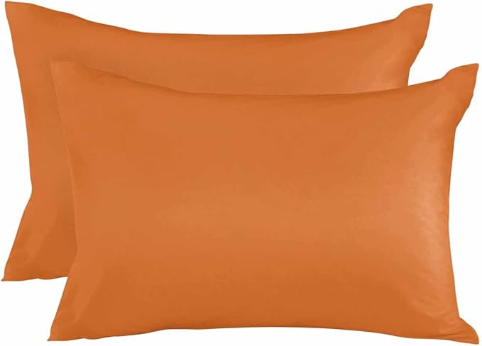 Outdoor Waterproof Throw Pillows Solid Art Minimalist Pure Orange Patio Pillows Pack of 2,Decorative Pillow Covers with Insert,Pillow Cushion Case for Garden Couch Sofa Plain Single Bright Color