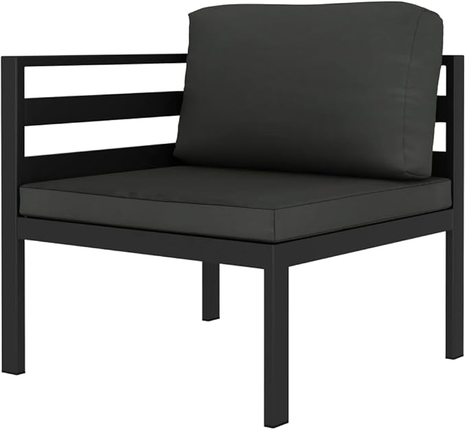 vidaXL Patio Furniture Set 2 Piece, Patio Conversation Set with Cushions, Outdoor Sectional Sofa for Garden Backyard Balcony, Aluminum Anthracite