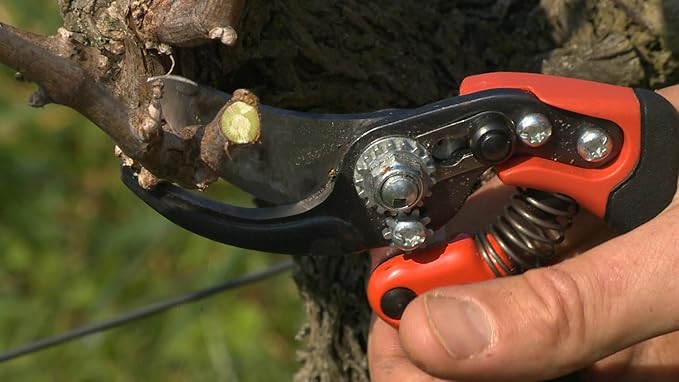 Bahco PX-S2 Ergo Small Bypass Secateurs, 7 Inch Length, Elastomer Coated Fixed Soft Grip Handle, 3/4 Inch Cutting Capacity, Lightweight Garden Pruners