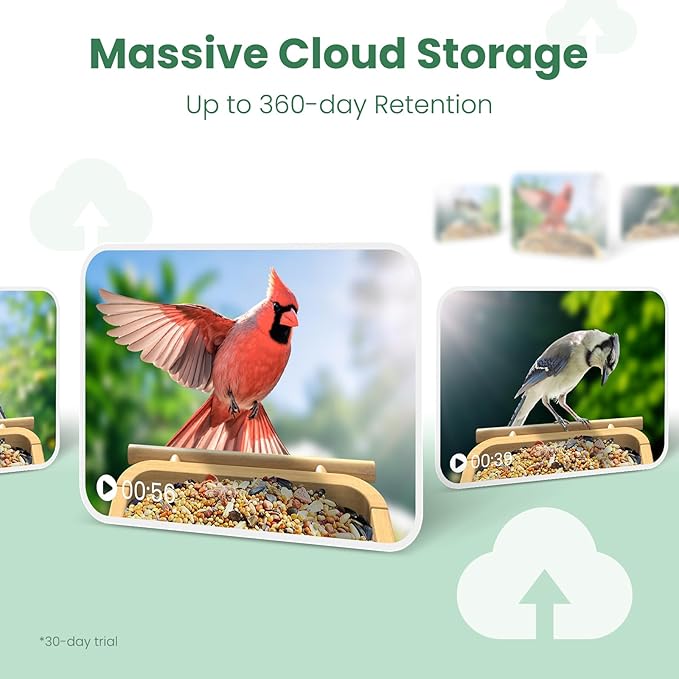 Bird Feeder with Camera, Smart Bamboo Bird Feeder, 2.5K UHD AI Identification, Real-time Videos & Pictures, Wireless Solar Powered Outdoor, Ideal for Garden Birding, Premium Present