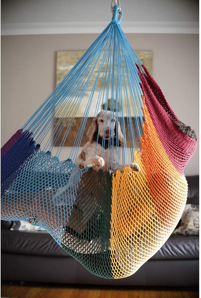 DreamGYM Hammock Swing Chair - Therapy Swing - Sensory Swing for Adults and Children - Rainbow
