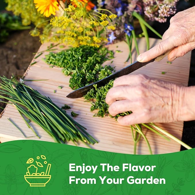 10 Herb Seeds Variety Pack - 7,000+ Heirloom Seeds - Basil, Cilantro, Lavender, Parsley, Dill, Thyme, Chives, Oregano, Sage, Herb Garden Kit for Planting Home Garden, Gardening Gift
