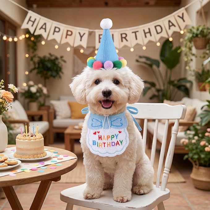 Jmkcoz Birthday Porch Goose Outfits Lawn Goose Statue Costume with Party Hat Bandana for 23" 17" Cement Plastic Statue Patio Yard Garden Outdoor Decor (Blue)