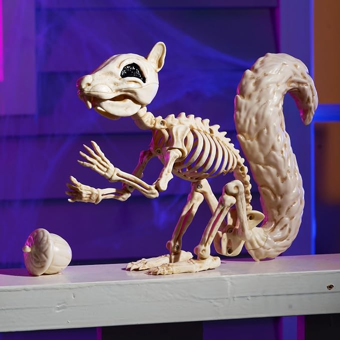 JOYIN Squirrel Skeleton Halloween Decoration 9.1 Inch Animal Posable Skeletons Movable Joints Plastic Bones with Pine Cones for Halloween Haunted House Decor Spooky Scene Garden Patio Party Prop