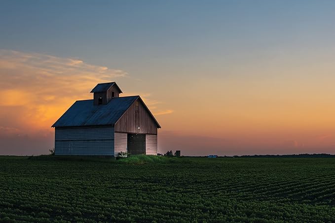 Lithonia Lighting BarnGuard LED Barn Light, Dusk to Dawn Outdoor Lighting with Adjustable Color Temperature, Wall or Pole Mountable Yard Light Fixture, MVOLT, Aluminum, Dark Bronze