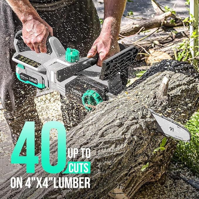 Litheli 10 Inch Chainsaw, 20V Cordless Electric Chain Saw, with 4.0Ah Lithium Battery & Charger, for Branch Cutting,Tree Pruning, Yard, Garden