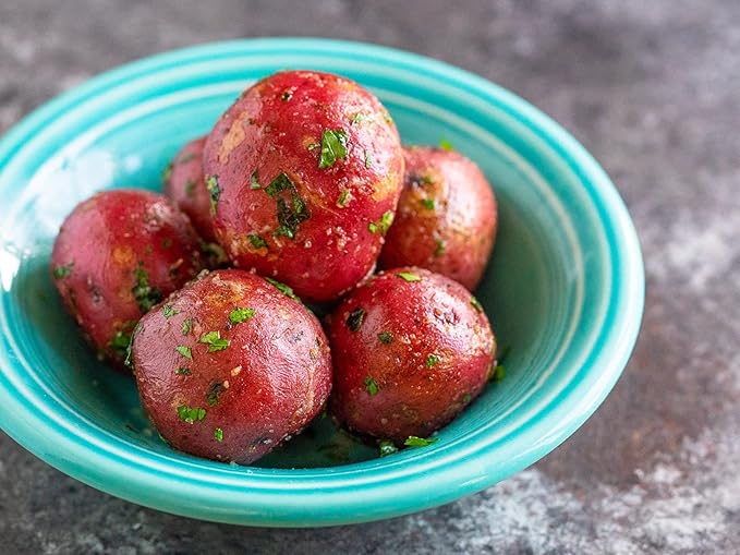 TomorrowSeeds - Pontiac Red Seed Potatoes - USDA Certified for Growers Size B NonGMO Potato Tubers Bulbs Growing Planting Planting Seed 2026-1 Pound
