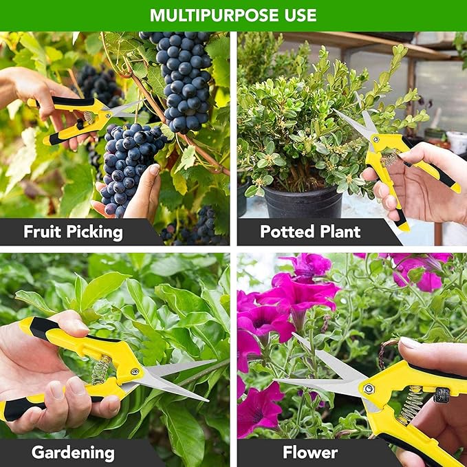 iPower 6.5 Inch Gardening Scissors Hand Pruner Pruning Shear for Gardening and Trimming, Heavy-Duty, Ultra Sharp Stainless Steel, Yellow, 10-Pack