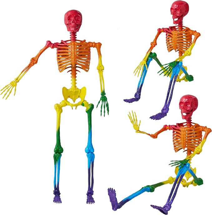 JOYIN 5.6 FT Halloween Posable Life Size Skeleton, Full Body Realistic Bones with Movable Joints, Rainbow Color Giant Skeletons for Halloween Decoration Outdoor, Haunted House Prop, Spooky Scene Party