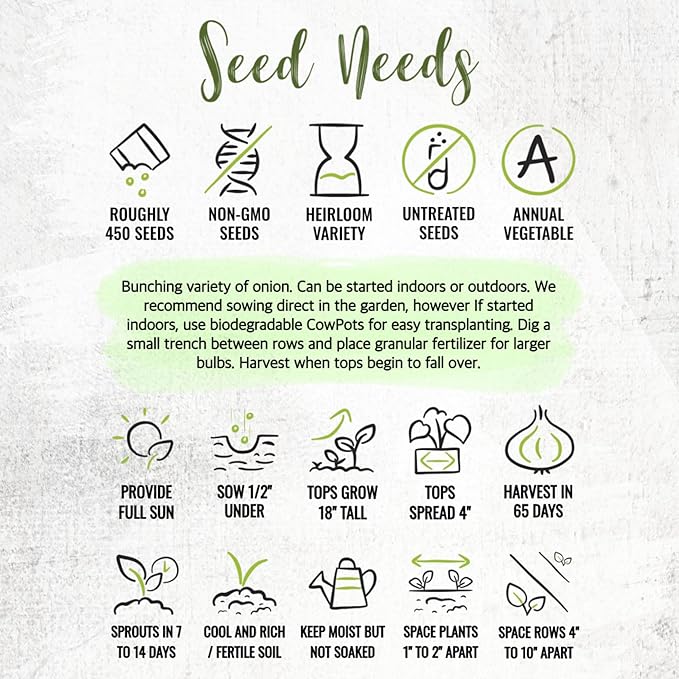 Seed Needs Onion Seeds for Planting Tokyo White Bunching Long Day Onions - Non-GMO Heirloom & Untreated Vegetable Seeds to Plant an Outdoor Home Grown Veggie Garden (5 Packs)