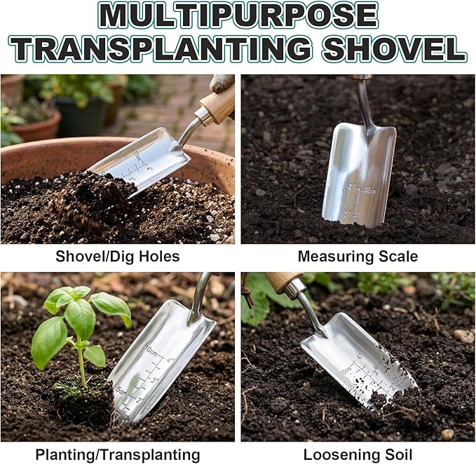 Berry&Bird 4" Measuring Transplanting Trowel, Stainless Steel Garden Hand Shovel with Ash Wood Handle & Leather Hanging Loop, Heavy Duty Gardening Tool for Digging, Planting, Potting & Loosening Soil