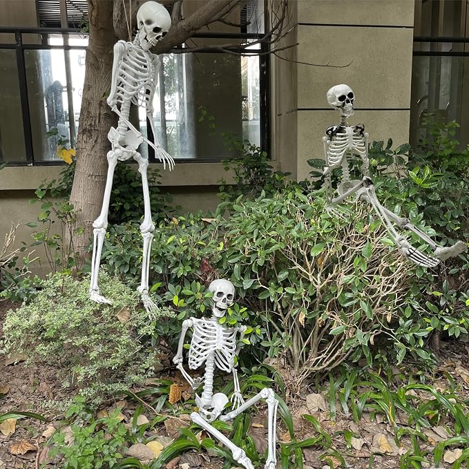 5.4ft/165cm Halloween Skeleton - Life Size Skeleton Full Body Realistic Human Bones with Posable Joints for Halloween Pose Skeleton Prop Decoration (5.4Ft&3Ft)