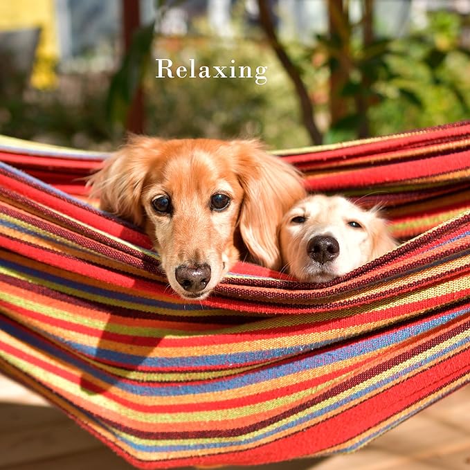 Double Brazilian Hammock with Stand Included – Woven Cotton, 2-Person, Outdoor Swing with Frame for Camping, Backyard, or Patio by Pure Garden