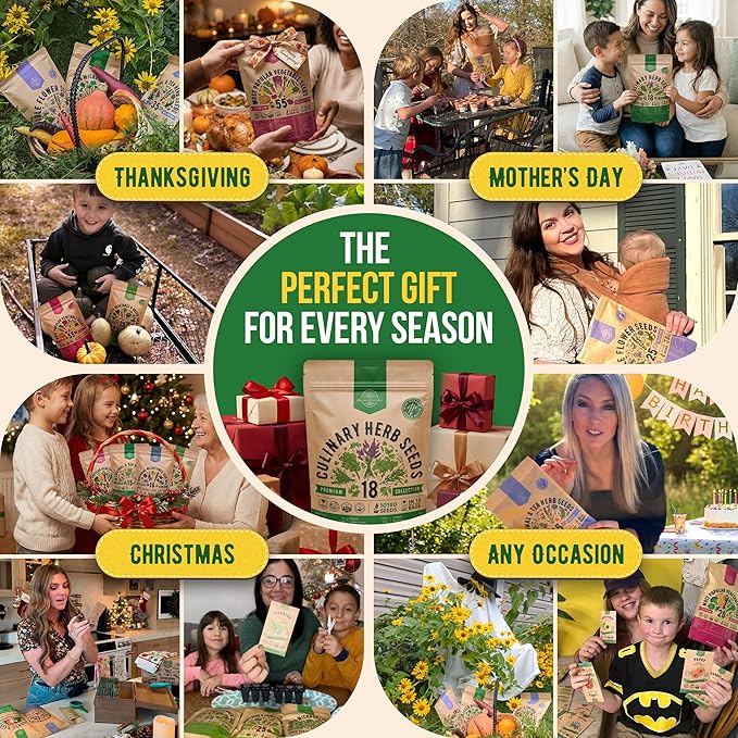 Organo Republic 18 Culinary Herbs Seeds Variety Pack - 10,180+ Heirloom, Non-GMO, Herbs Seeds for Outdoor and Indoor Home Gardening, Including Rosemary, Thyme, Oregano, Mint, Basil, Parsley