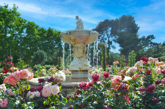 Garden Fountain Buying Guide: How to Choose the Perfect Water Feature for Your U.S. Yard