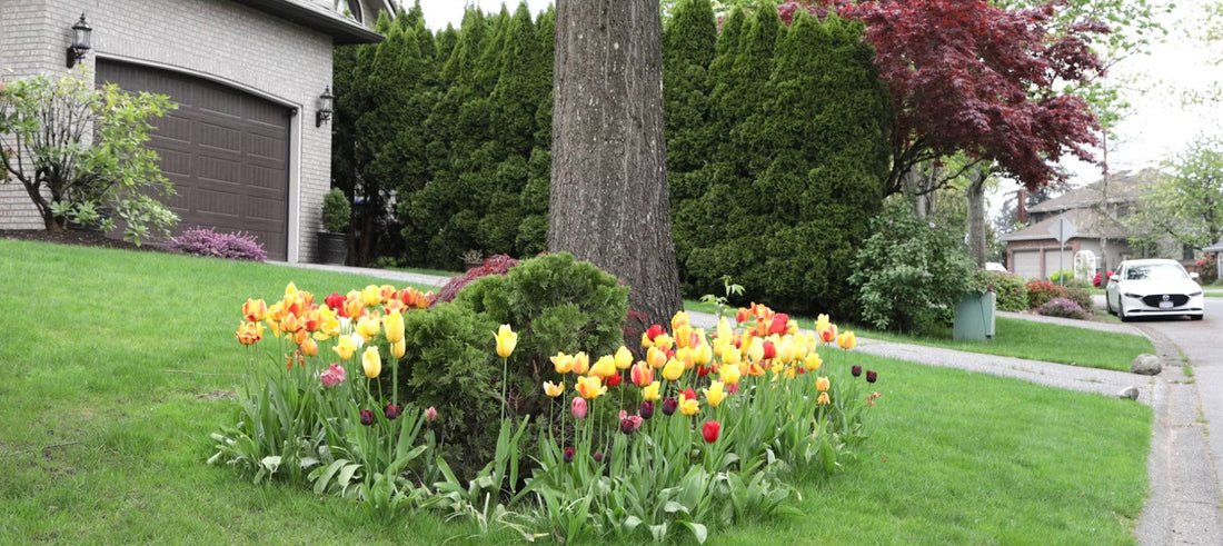 Front Yard Makeover: The Best Items to Boost Your Home's Curb Appeal