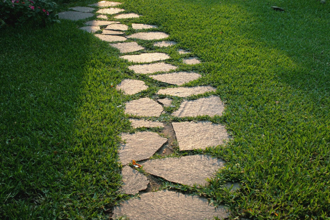 Garden Paths & Walkways: How to Install Natural Stone, Brick & Concrete Pavers