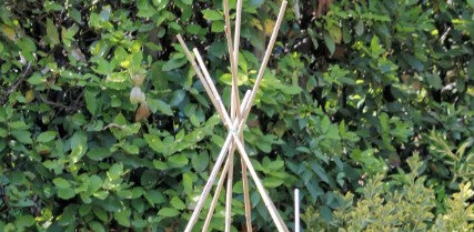 DIY Teepee Trellis: How to Build a Support for Climbing Plants in Your U.S. Garden