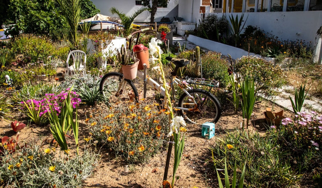 10 Essential Garden Tasks to Complete Before the First Frost