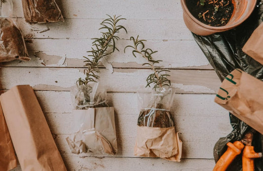 10 Eco-Friendly Alternatives to Reduce Plastic in Your Garden