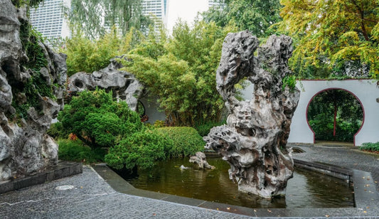Rock Garden Design: A Beautiful Alternative for Dry Areas