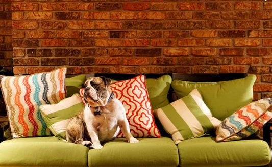 How to Add Color to Your Patio with Furniture and Cushions