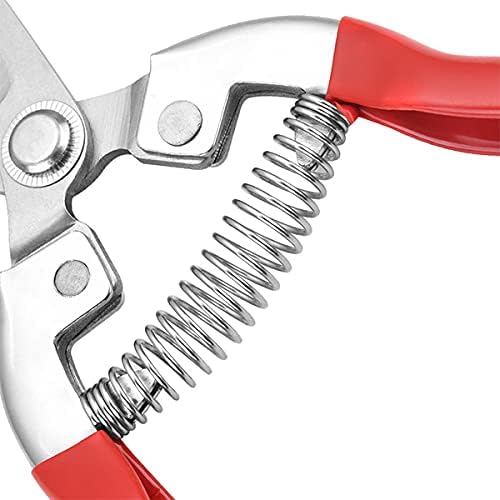 Garden Shears Pruning Shears for Gardening Pruner, for Plants, Grape Picking, Small Gardening