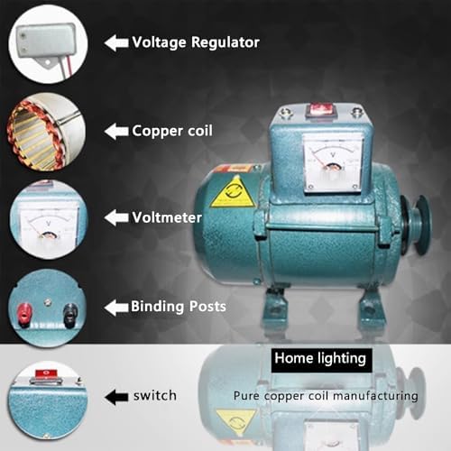 5000W 220V Small Gasoline Generator, Pure Copper Wire, Brushless Permanent Magnet, Diesel Engine, High Efficiency, Portable Power Supply for Home & Outdoor Use