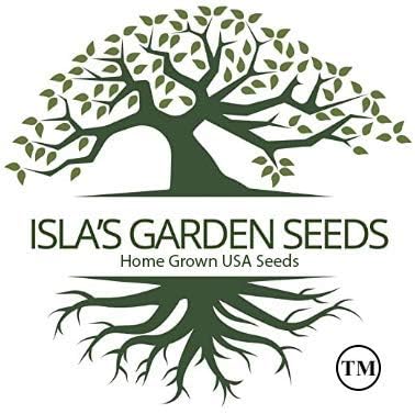 Riverside Sweet Spanish Onion Seeds (Allium cepa) – 300+ Heirloom Non-GMO Seeds by Isla’s Garden Seeds, Large Mild Long-Day Bulbs for Fresh Eating & Storage, High-Yield Garden Variety, Gift Idea
