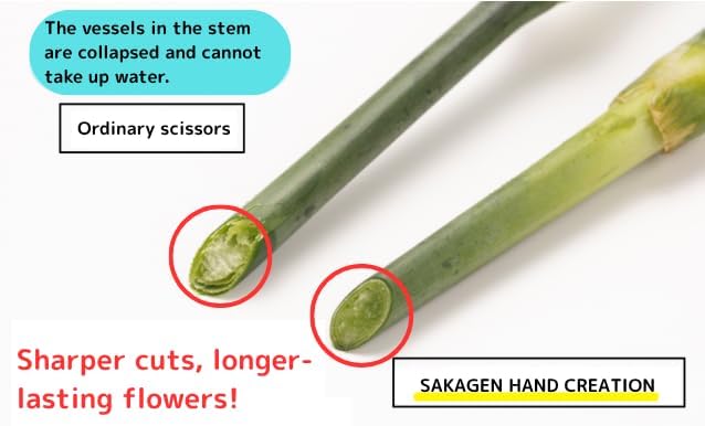 Japanese Floral Scissors - SAKAGEN Hand Creation, Professional Ultra Sharp Flower Shears for Floral Design, Ikebana & Gardening, Made in Japan, F-170 (Light Green)
