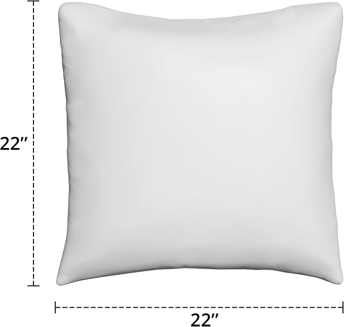 Covers & All Sunbrella Throw Pillows Set of 2, 22 x 22 Inch Square Outdoor & Indoor Cushions with Insert, Fade & UV Resistant Fabric (Canvas Antique Beige)