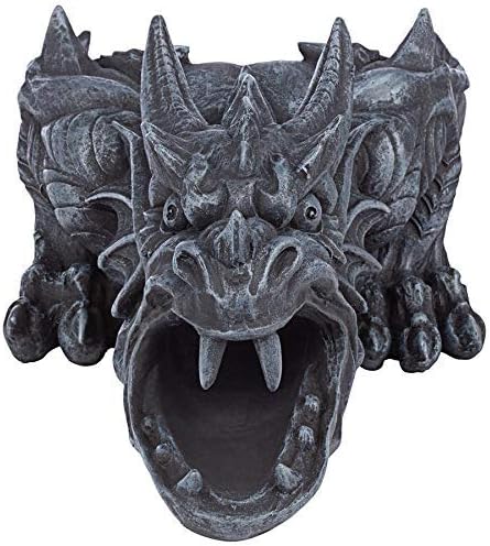 RANIER DRAGON RAINSPOUT