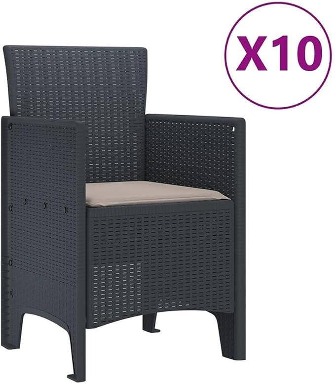 Afuera Living 11 Piece Poly Rattan Patio Dining Set, Anthracite Finish, UV-Resistant with Foam Cushions, Rectangular Table, Modern Outdoor Garden Furniture for Terrace or Backyard Dining, Seats 10