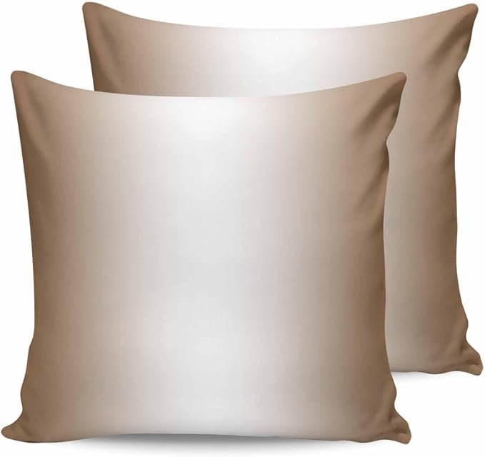 Brown and White Ombre Outdoor Pillow Covers Waterproof, All Weather Cushion Case Set of 2, Modern Abstract Gradient Color Art Decorative Pillowcases for Sofa Couch Bed Decor Patio Furniture 24"x24"