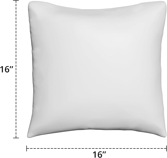 Covers & All Sunbrella Throw Pillows Set of 2, 16 x 16 Inch Square Outdoor & Indoor Cushions with Insert, Fade & UV Resistant Fabric (Canvas Black)