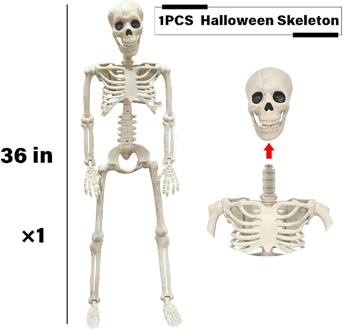 36" Skeleton Halloween Decorations, 3FT Realistic Full Body Movable Posable Joints Skeleton, Creepy Halloween Plastic Skeleton for Graveyard Decorations, Haunted House Props Indoor/Outdoor Decor