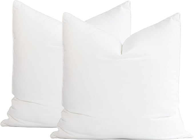 Hofdeco Premium Throw Pillow Insert, Set of 2, 24"x24" (for Cover Size 22"x22") Water Resistant Synthetic Down Alternative Sham Stuffer for Patio, Bench, Garden, Poolside, White