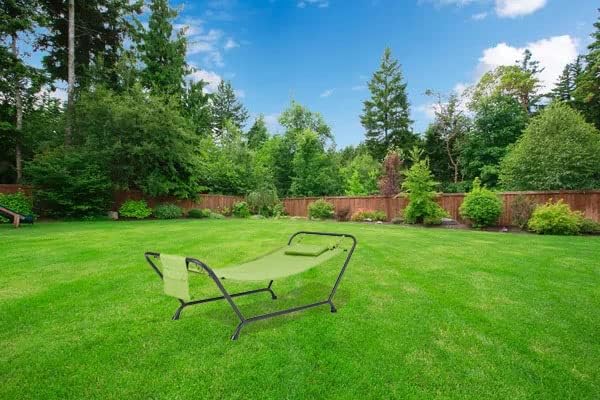 SEDLAV Belden Park Polyester Hammock with Stand and Pillow, 90.55" L x 38" W x 32" H (Green)