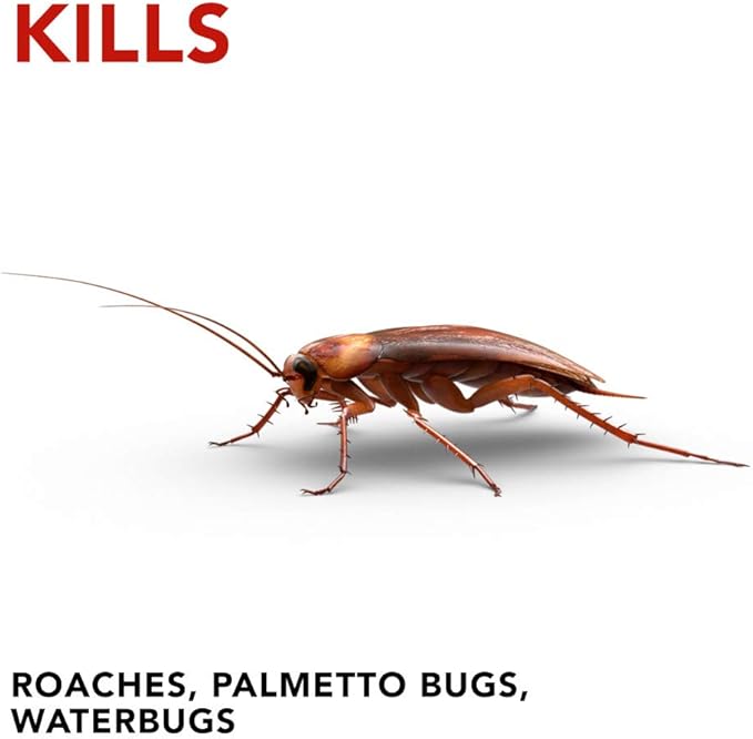 Raid Double Control Small Roach Baits Plus Egg Stopper 0.63 Ounce (Pack of 1)