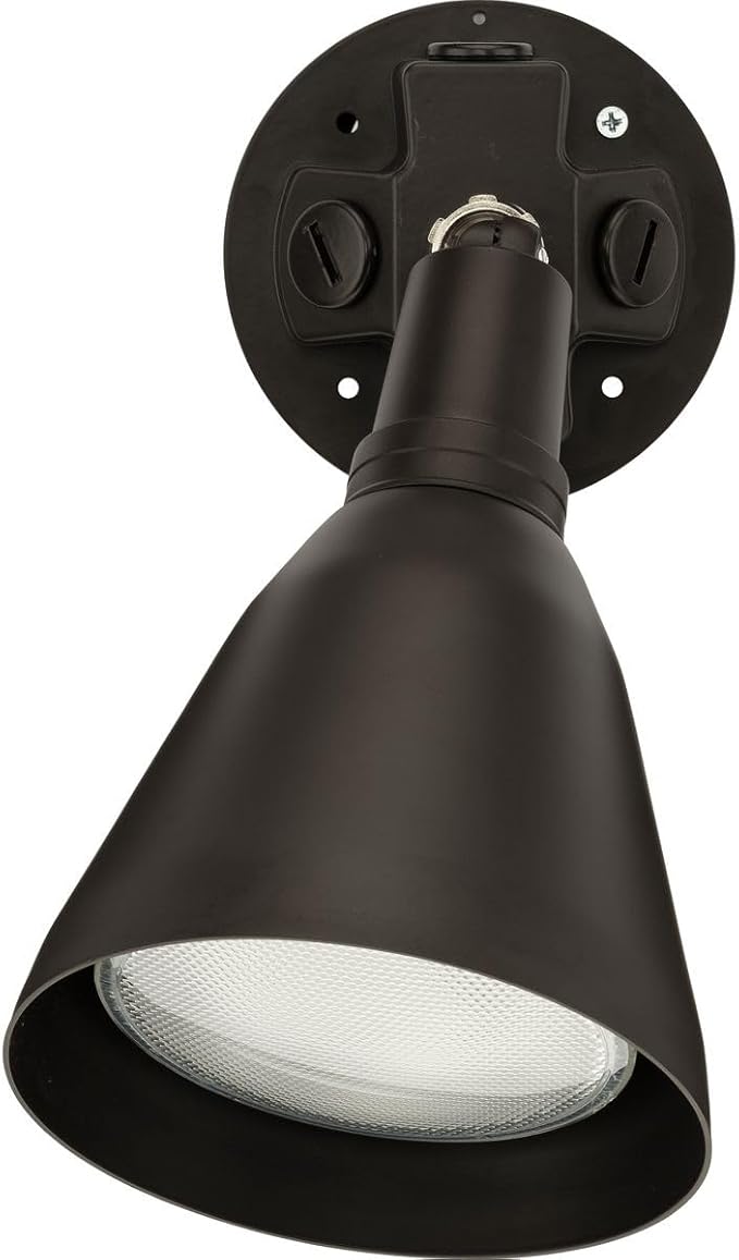 Progress Lighting 1-Light Adjustable Swivel Flood Light, Outdoor, P5202-20, Antique Bronze