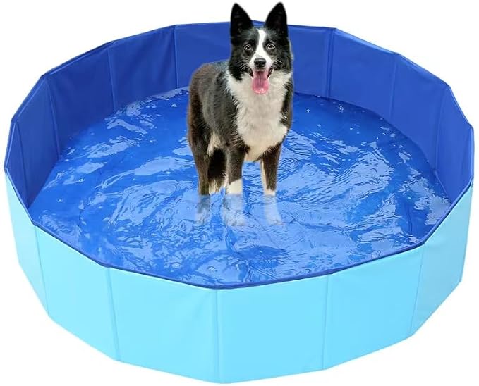 Foldable Dog Pool,Kiddie Pool with Hard Plastic, 32" x 8" Dog Bath Tub for Outdoor Backyard, Collapsible Dog Swimming Pool for Kids Dogs Pets