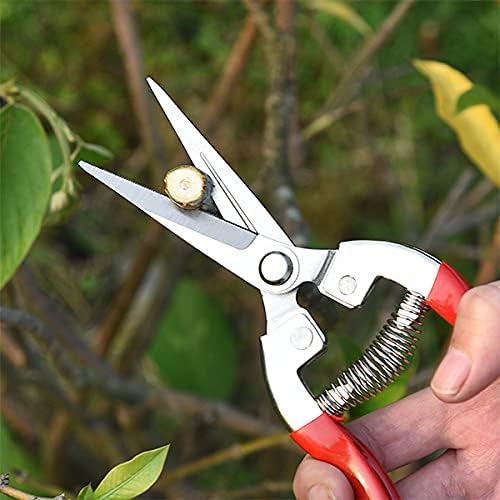 Garden Shears Pruning Shears for Gardening Pruner, for Plants, Grape Picking, Small Gardening