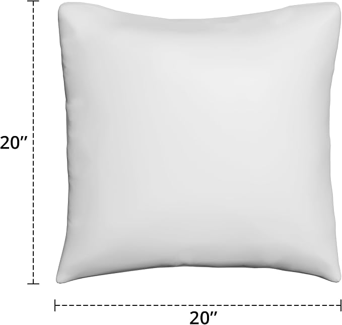 Covers & All Sunbrella Throw Pillows Set of 2, 20 x 20 Inch Square Outdoor & Indoor Cushions with Insert, Fade & UV Resistant Fabric (Canvas Jockey Red)