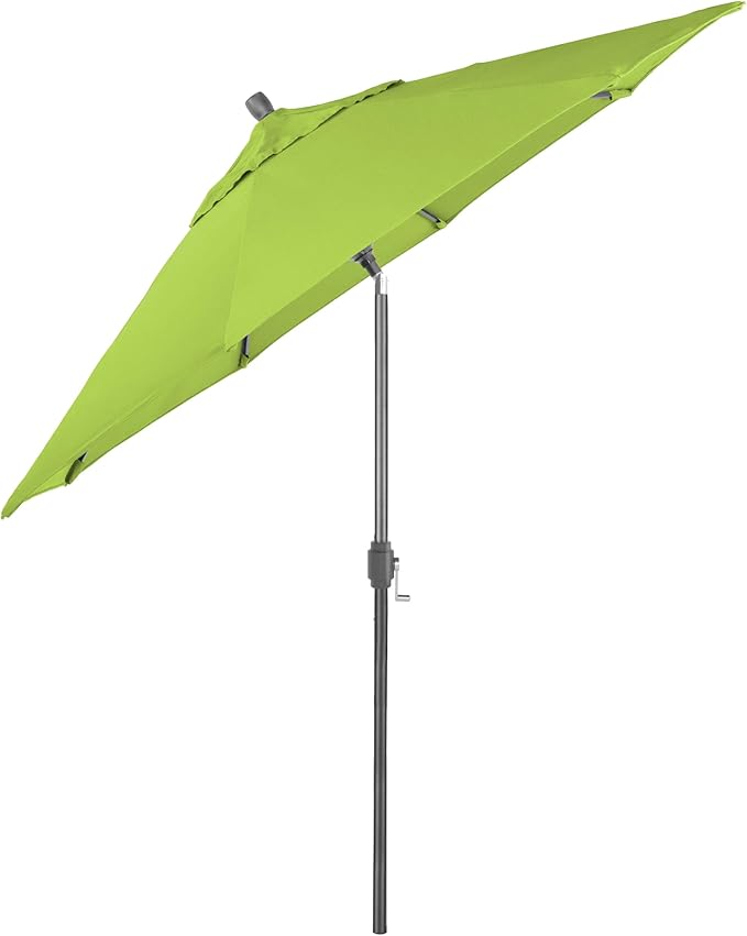California Umbrella 12-Year-Non-Fading, 9Ft Premium Sunbrella Patio Umbrella, Hand-Crank, Button-Tilt, Gray Frame, Macaw Fabric