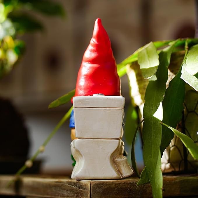 Funny Garden Gnome on a Throne, Durable Ceramic Statue Decoration, Weather-Proof Outdoor Gnomes for Yard Lawn Garden Decor, Housewarming Gag Gift