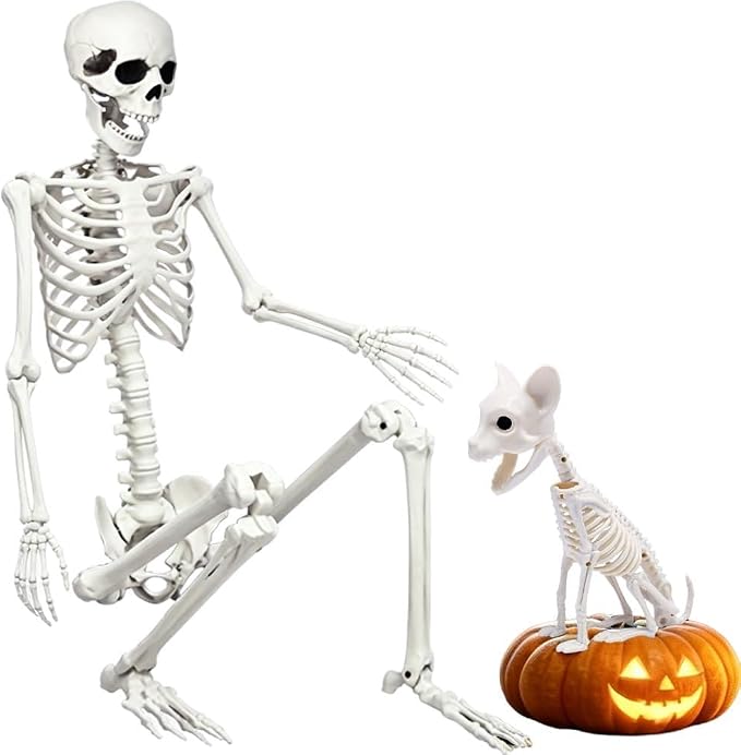 5.9Ft Halloween Life Size Skeleton with Cat for Halloween Party Decor | Plastic Skeletons with Movable Joints