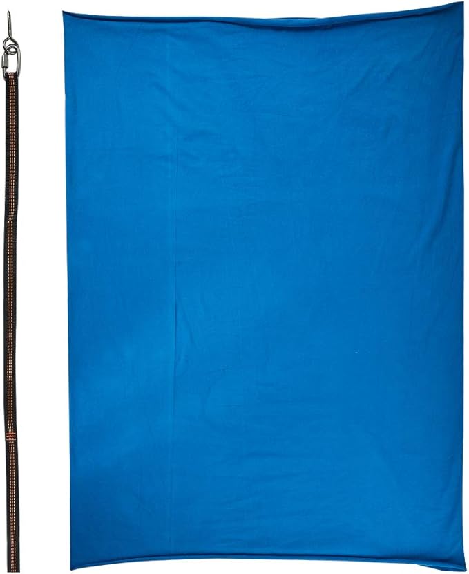 TOPARCHERY Indoor Sensory Swing for More Special Needs, Cuddle Hammock for Sensory Integration Snuggle Swing Hammocks (Blue)