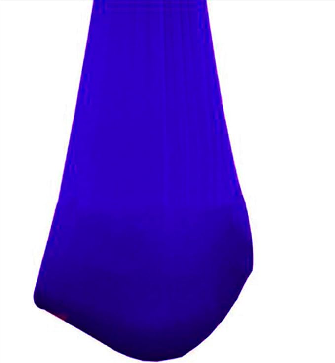 Kid Indoor Swing Elastic Therapy Hammock Cuddle Up to 440lbs Sensory Parcel Steady Swing Indoor Outdoor Autism ADHD Aspergers (Color : Blue, Size : 100 x 280 cm)