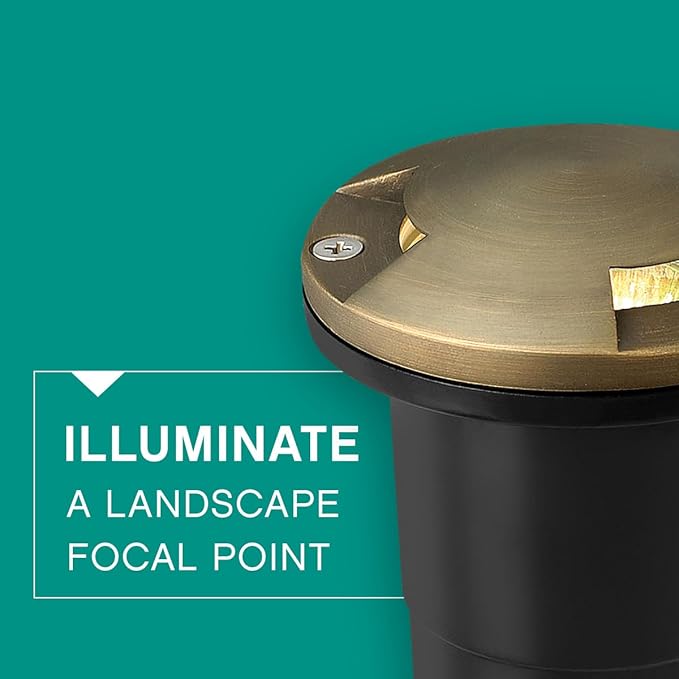 Hinkley Landscape Lighting Hardy Island LED Directional Well Light, 3 Openings, Matte Bronze