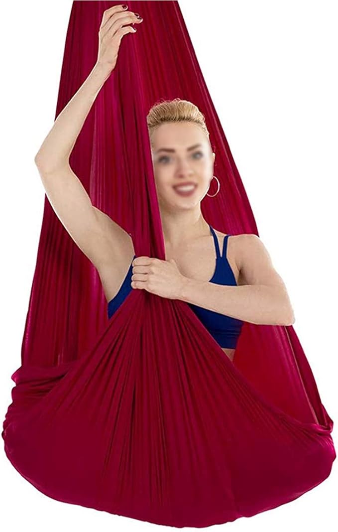 Therapy Sensory Swing Indoor Yoga Hammocks for Children Kids Or Adults Swings Ideal Autism ADHD and SPD Hardware (Color : Red, Size : 150 x 280 cm)
